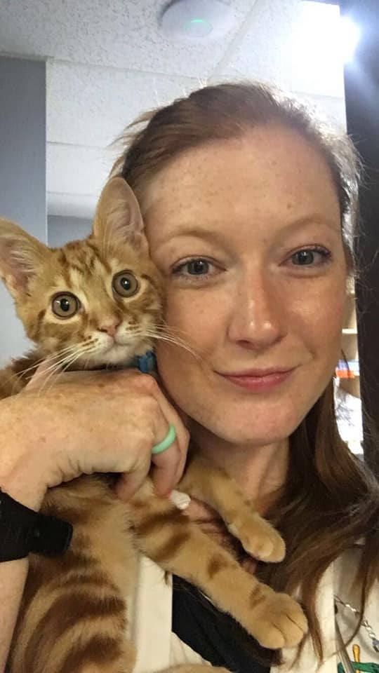 tech holding kitten in vinings, ga