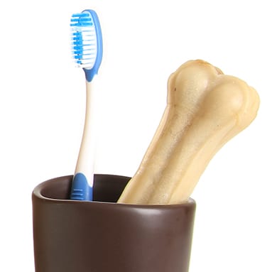 tools for Cat And Dog Teeth Cleaning in Atlanta, GA